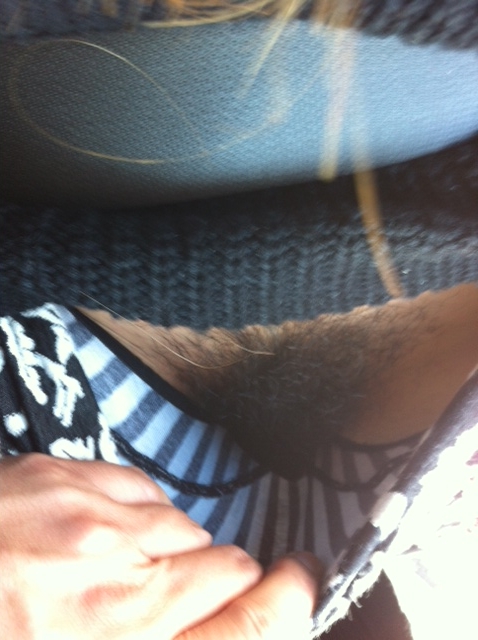 �Z�t���̉摜